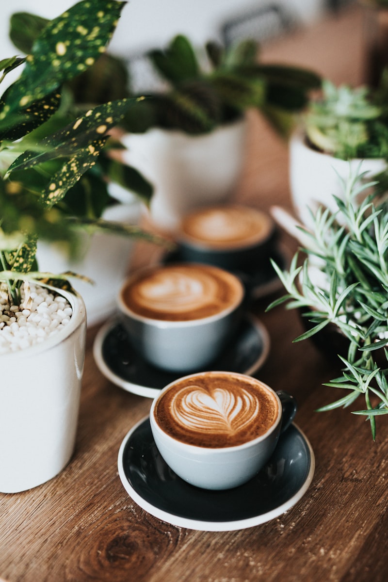 Arabica Coffee Beans (AAA Grade)